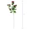 Burgundy Ranunculus Spray by Ashland®